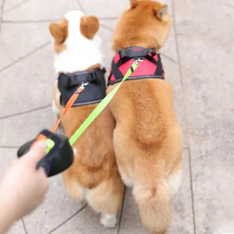 two-dog leash