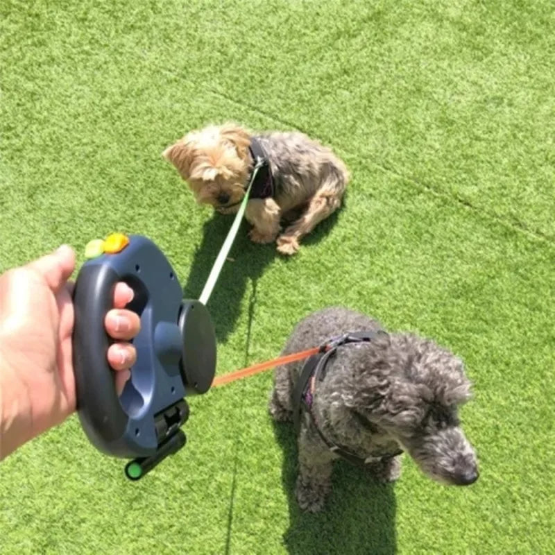 two-dog leash