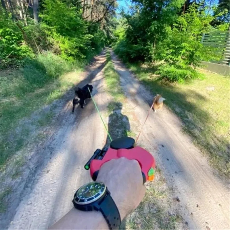 two-dog leash