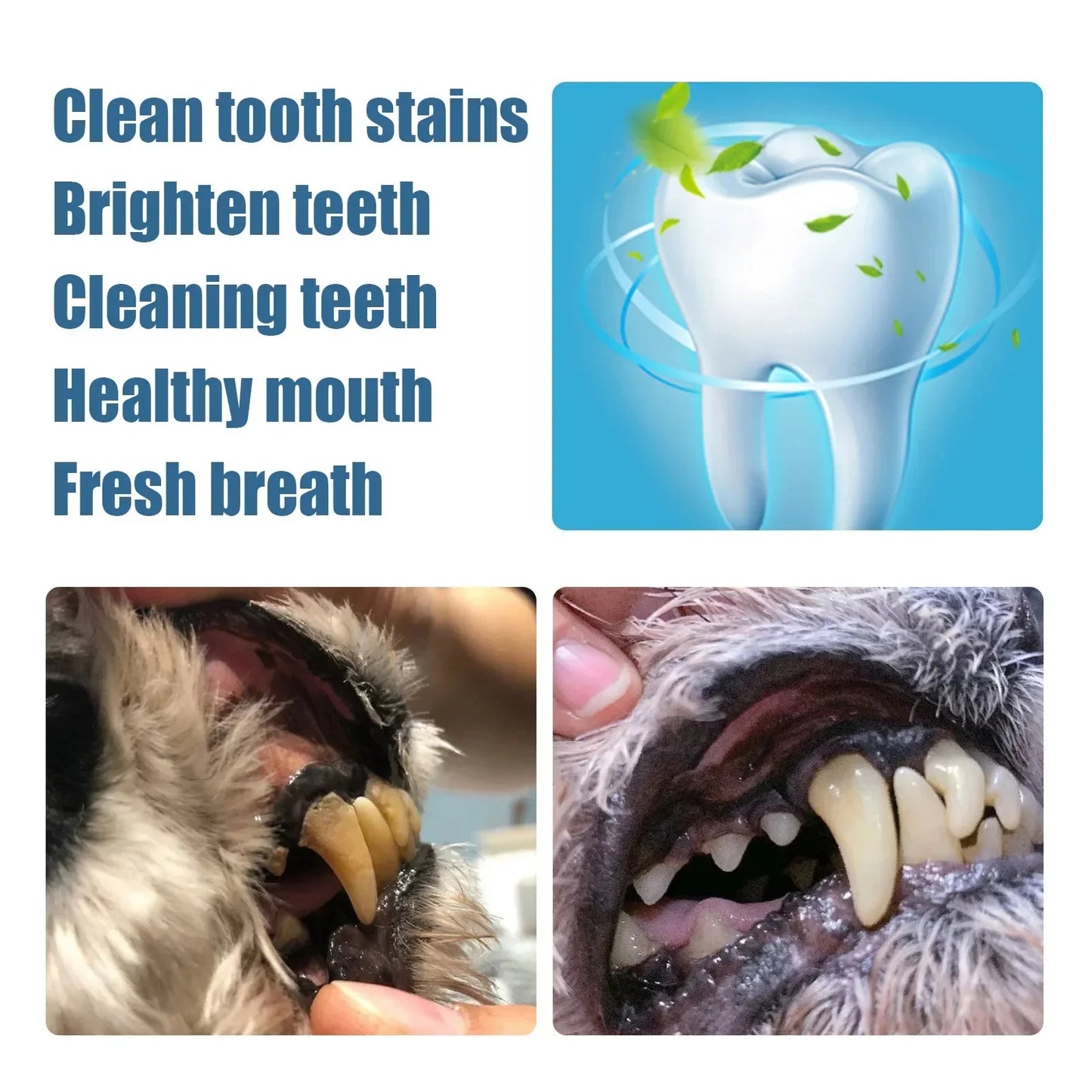 Pet Toothbrush Pen™