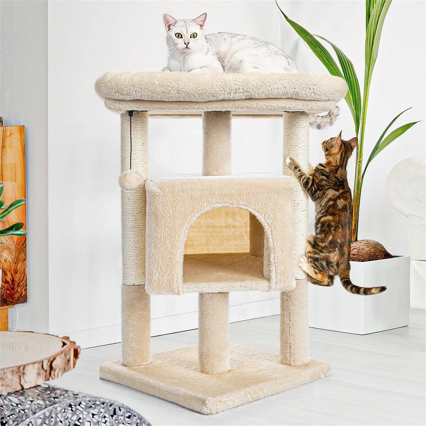 Cat Scratching Posts