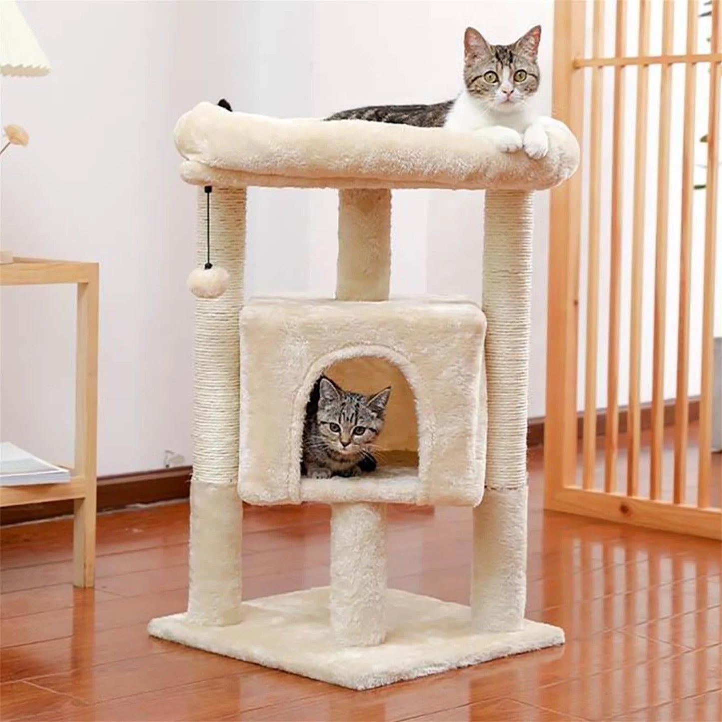 Cat Scratching Posts