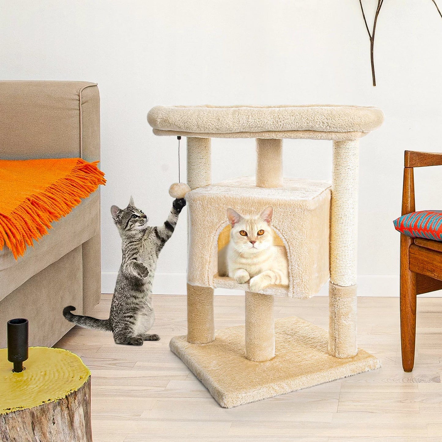 Cat Scratching Posts