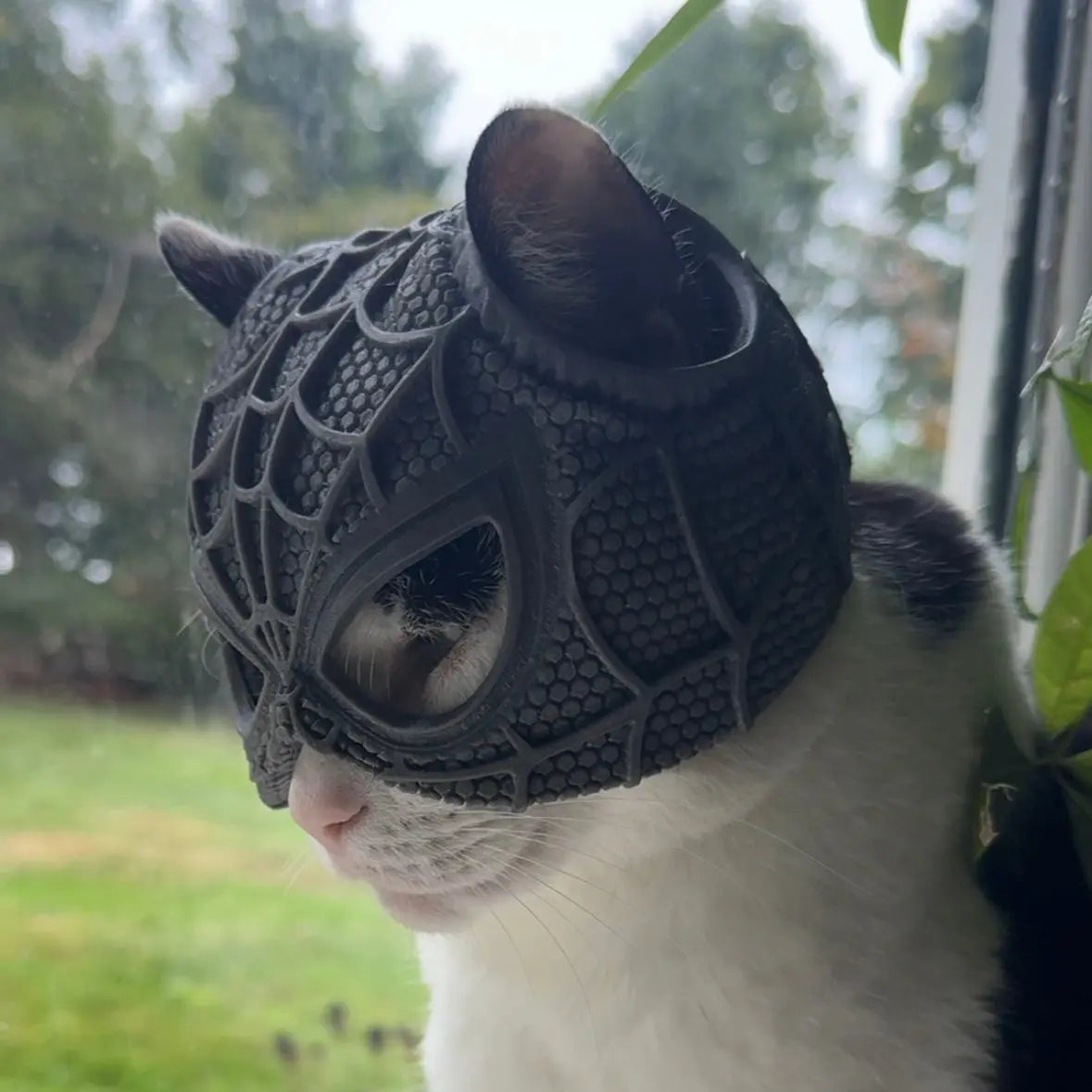 SPIDER CAT MASK