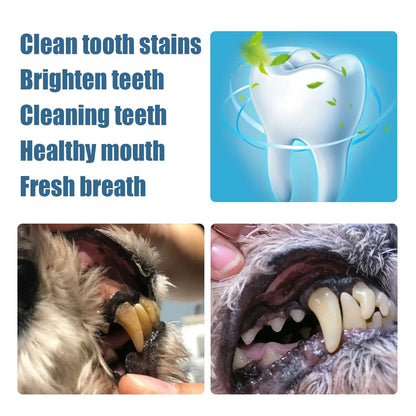 Pet Toothbrush Pen™