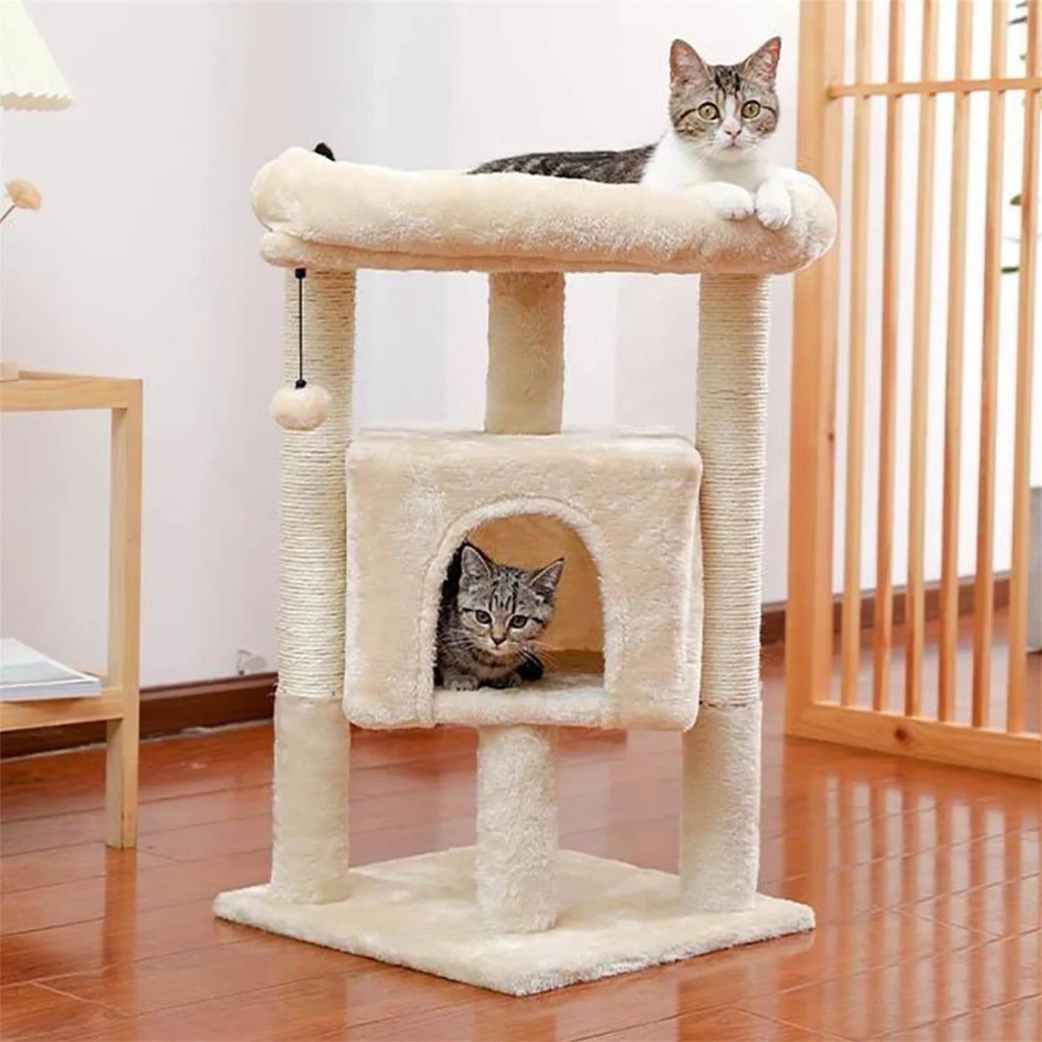 Cat Scratching Posts