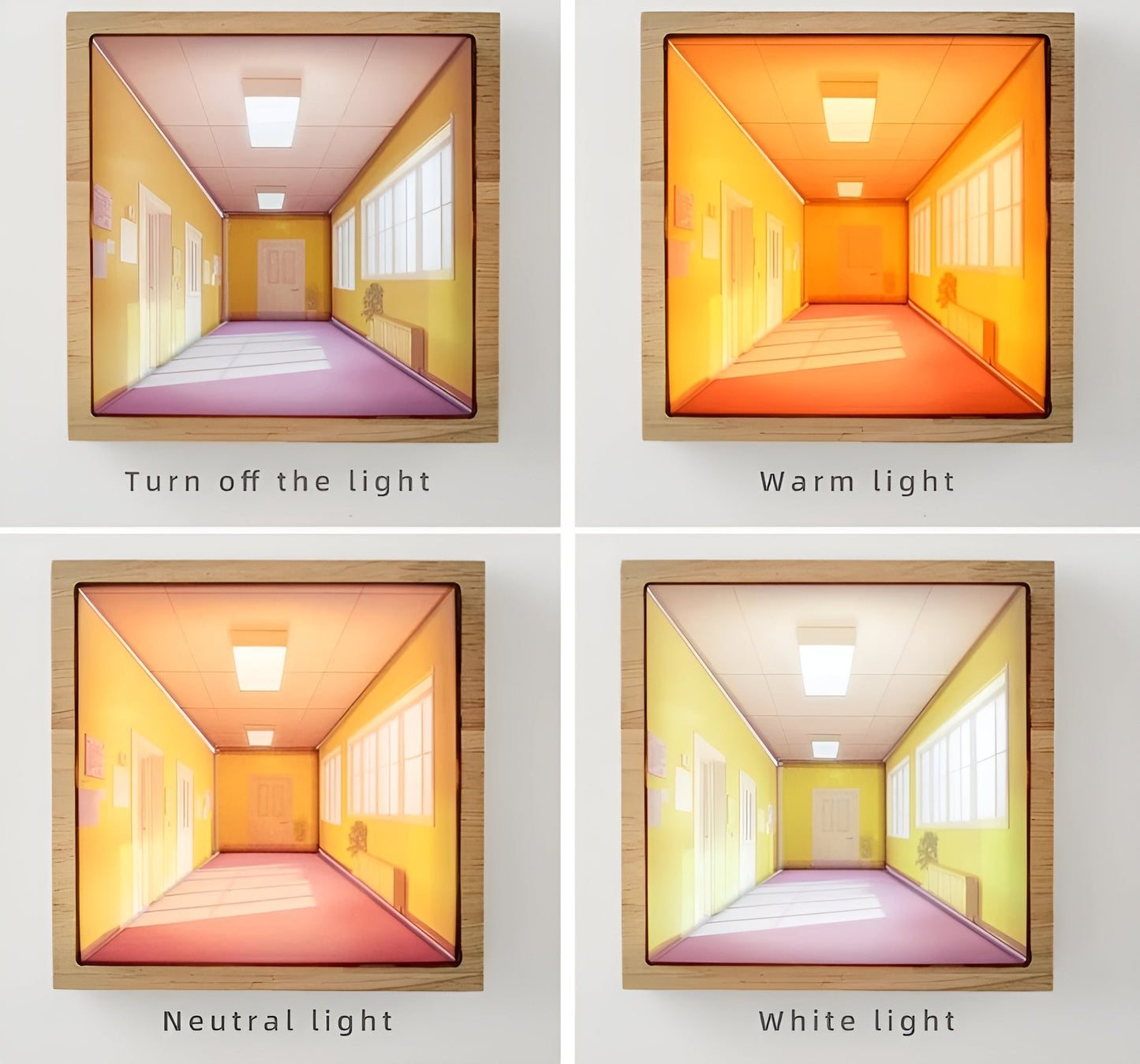5D Illusion Light™